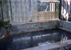 十津川温泉郷 ゑびす荘 - 奈良県