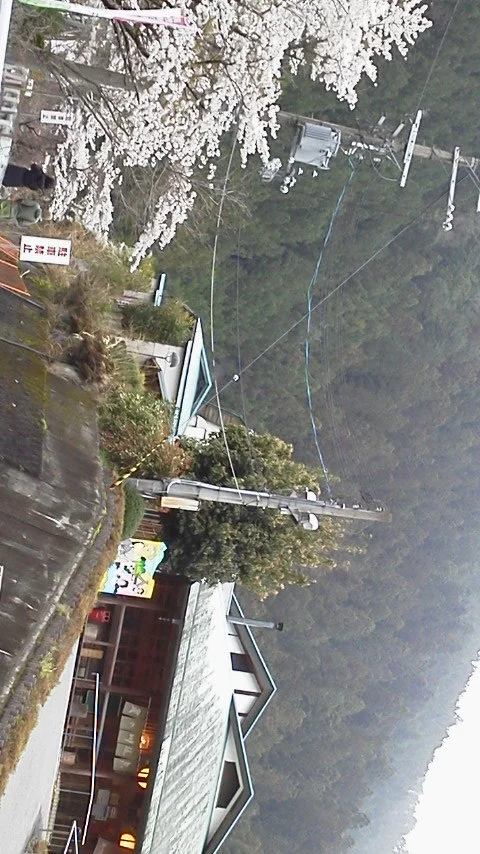 天の川温泉センター 木木の湯