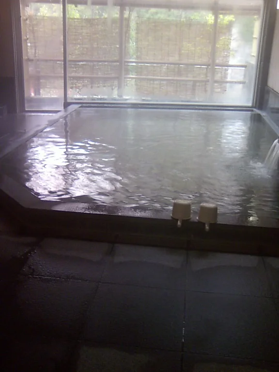 大塔温泉 夢乃湯（閉館しました）