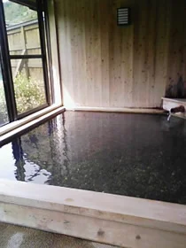 十津川温泉 庵の湯