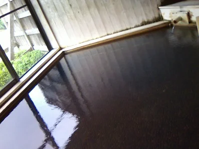 十津川温泉 庵の湯