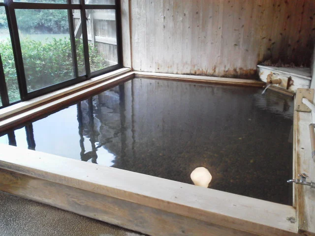 十津川温泉 庵の湯