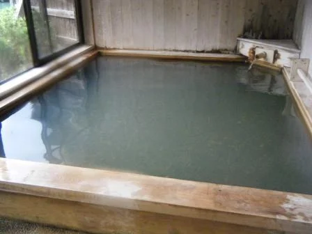 十津川温泉 庵の湯