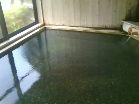 十津川温泉 庵の湯