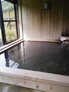 十津川温泉 庵の湯
