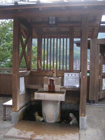 十津川温泉 庵の湯