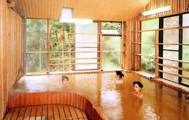 入之波温泉湯元 山鳩湯（しおのはおんせん）