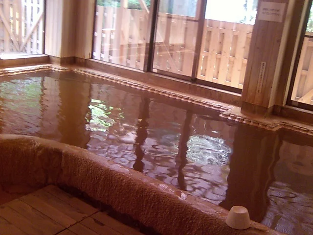 入之波温泉湯元 山鳩湯（しおのはおんせん）