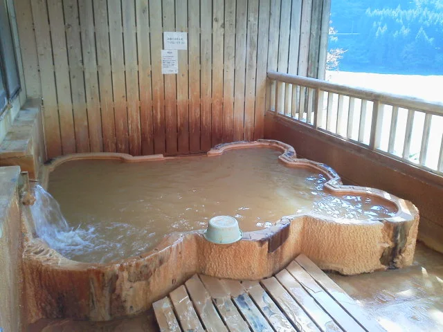 入之波温泉湯元 山鳩湯（しおのはおんせん）