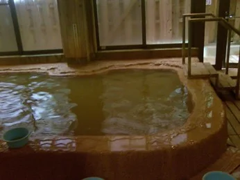 入之波温泉湯元 山鳩湯（しおのはおんせん）