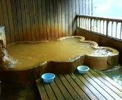 入之波温泉湯元 山鳩湯（しおのはおんせん）