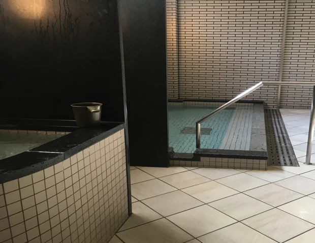 魅惑の里 水神の湯(閉館しました)