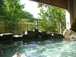 魅惑の里 水神の湯(閉館しました)