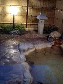 高野温泉 神之瀬の湯 - 広島県