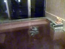 ウイングパークホテル(閉館しました)