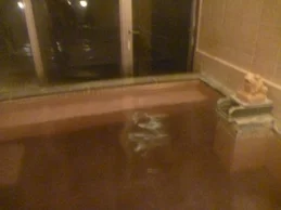 ウイングパークホテル(閉館しました)