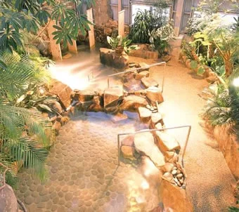 天然温泉 お食事処 さがの海田（閉館しました）