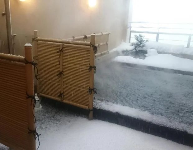 国民宿舎 水明荘