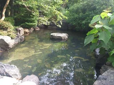 花屋旅館(閉館しました)