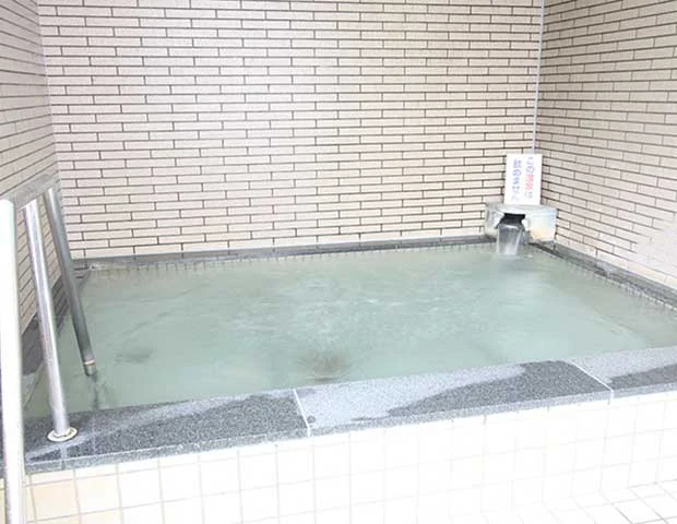 湖山温泉 ホテルウェルネス因幡路