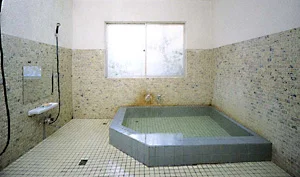 旅館浦島(閉館しました)