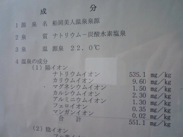 船岡美人温泉（閉館しました）