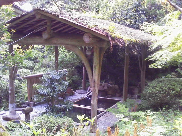 しゃあま家（旧 温清楼）（閉館しました）