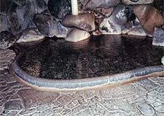 Misasa Onsen Nukumori no Yado Nakaya - Tottori