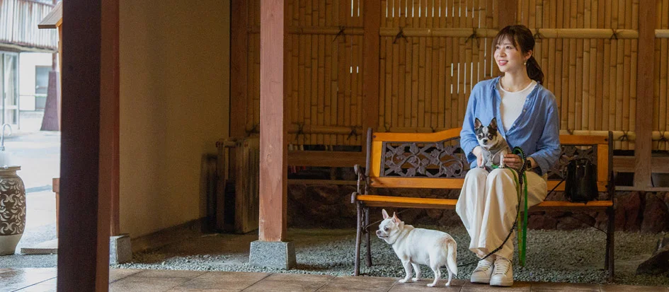 トップメイン画像3