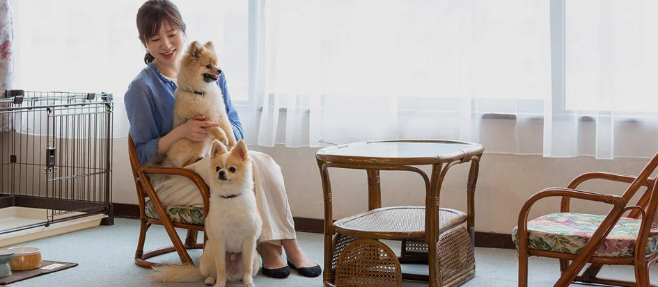 トップメイン画像4