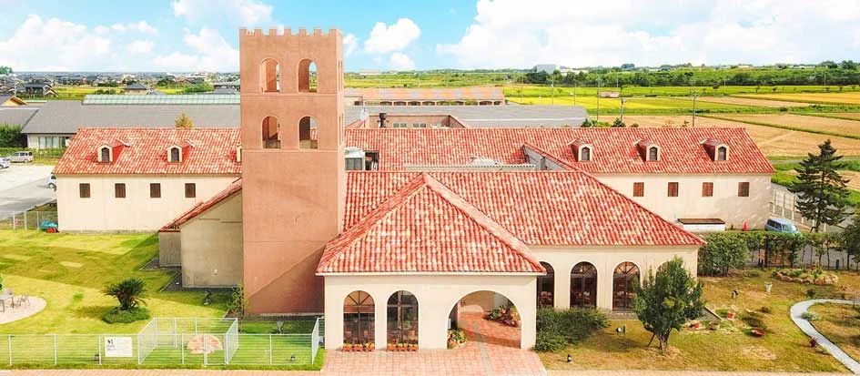 トップメイン画像1