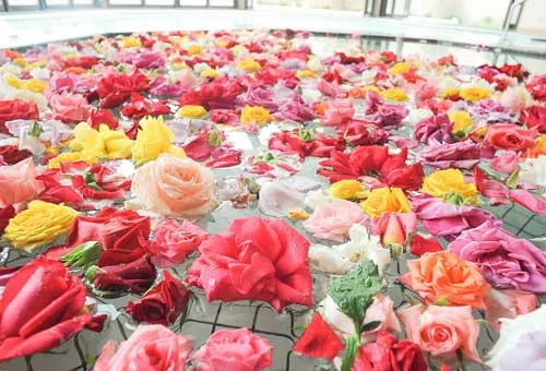 フォトアルバム15