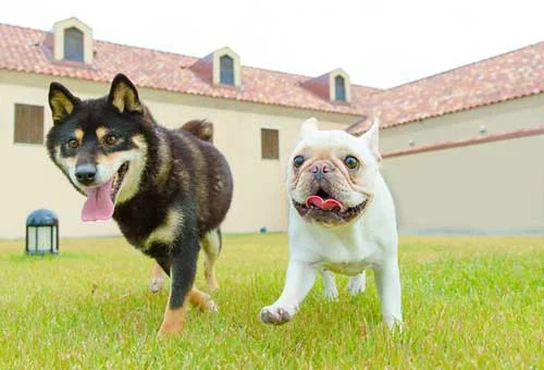 フォトアルバム18