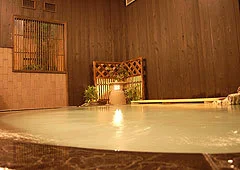 Yakushi-yu Shinseikan - Tottori