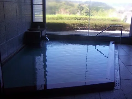 倉吉市国民宿舎 グリーンスコーレせきがね（閉館しました）