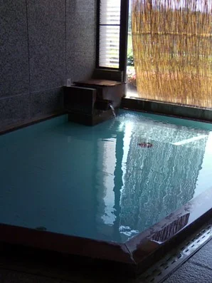 倉吉市国民宿舎 グリーンスコーレせきがね（閉館しました）