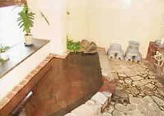 Hawai Onsen New Takahashi - Tottori