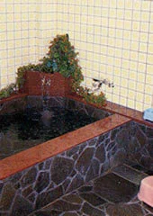 Kaiso Onsen Hotel for Tourism and Business - Yonago - Tottori