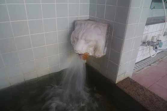 五代温泉玉の湯(閉館しました)