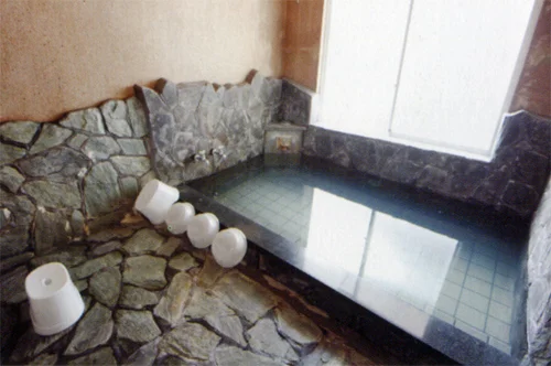 Misasa Onsen Misasa Garden Hotel - Tottori