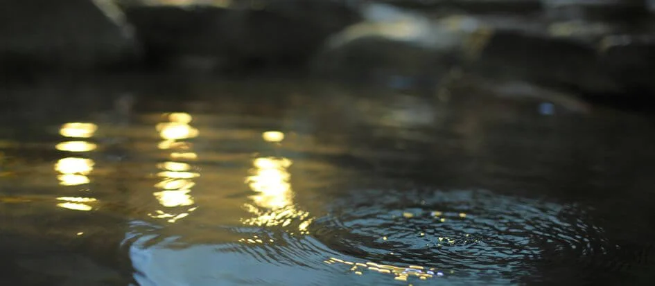 トップメイン画像5