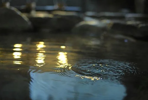 フォトアルバム19