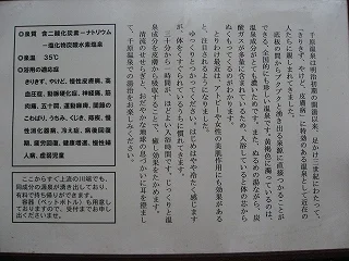 千原湯谷湯治場（旧　千原温泉）