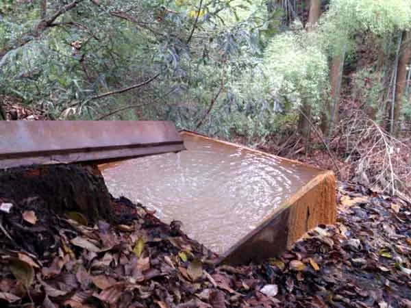 酒谷の湯