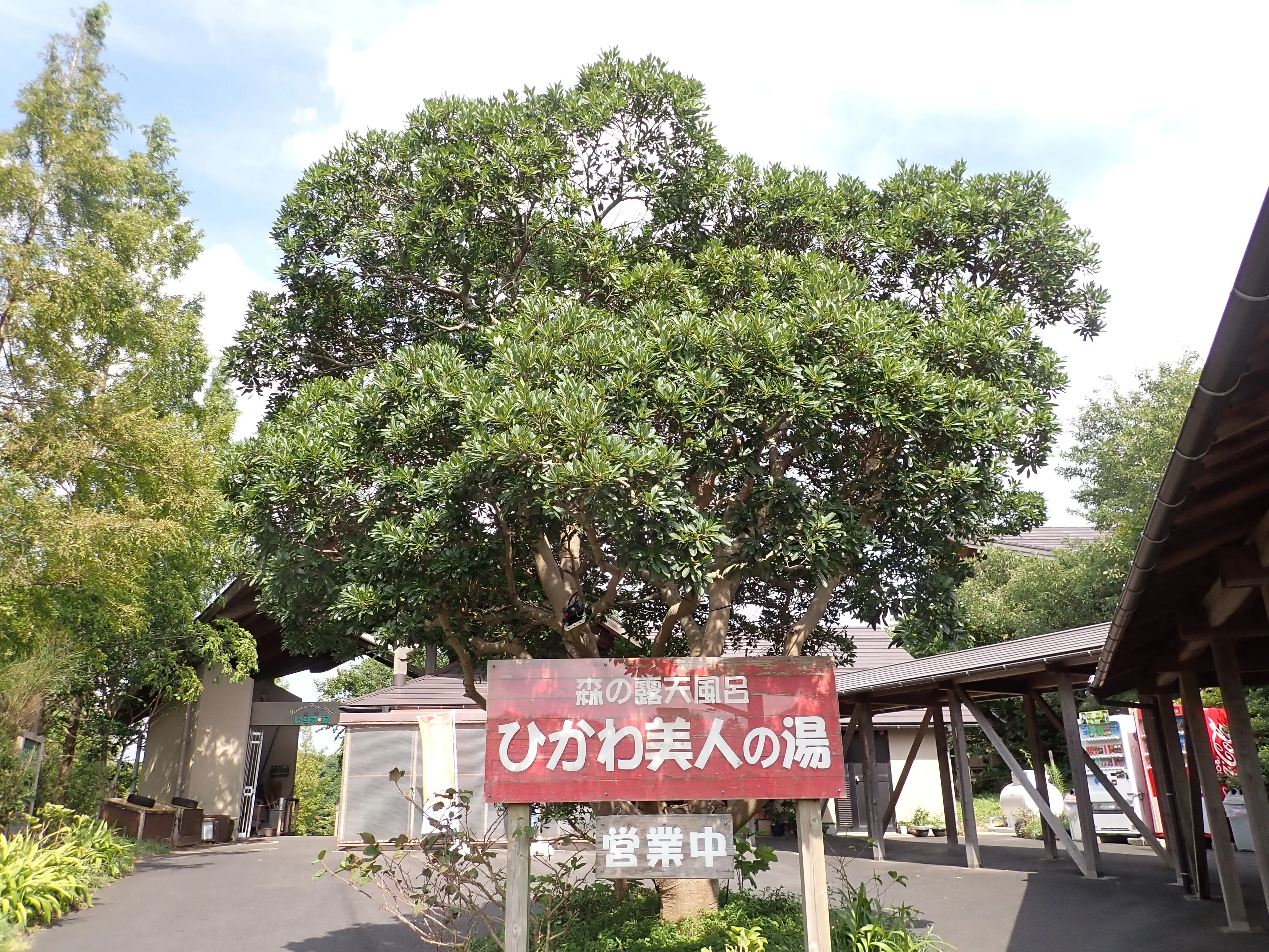 ひかわ美人の湯(斐川フレッシュパーク 出雲いりすの丘 内)