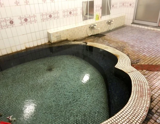 昭和温泉旅館 すみれ（旧 観光ホテル寿実麗）