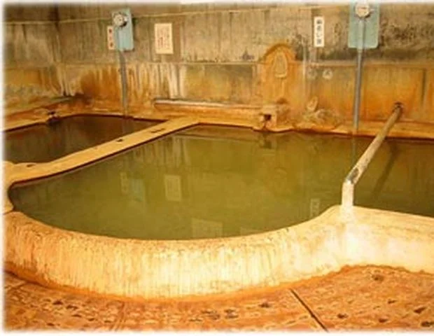 泉薬湯（せんやくとう） 温泉津温泉元湯