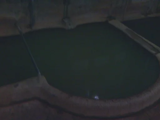 泉薬湯（せんやくとう） 温泉津温泉元湯