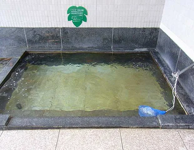 多伎いちじく温泉