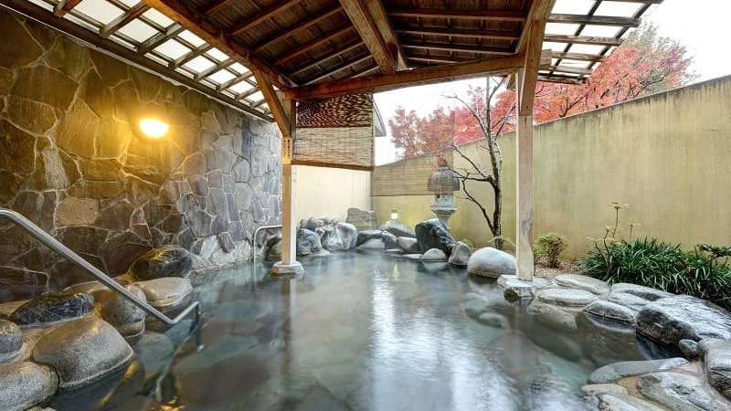 夢ランドしらさぎ